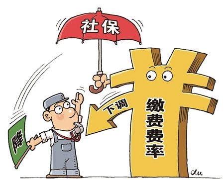 新變化！社保繳納費(fèi)率下降，對線束加工廠有什么影響？