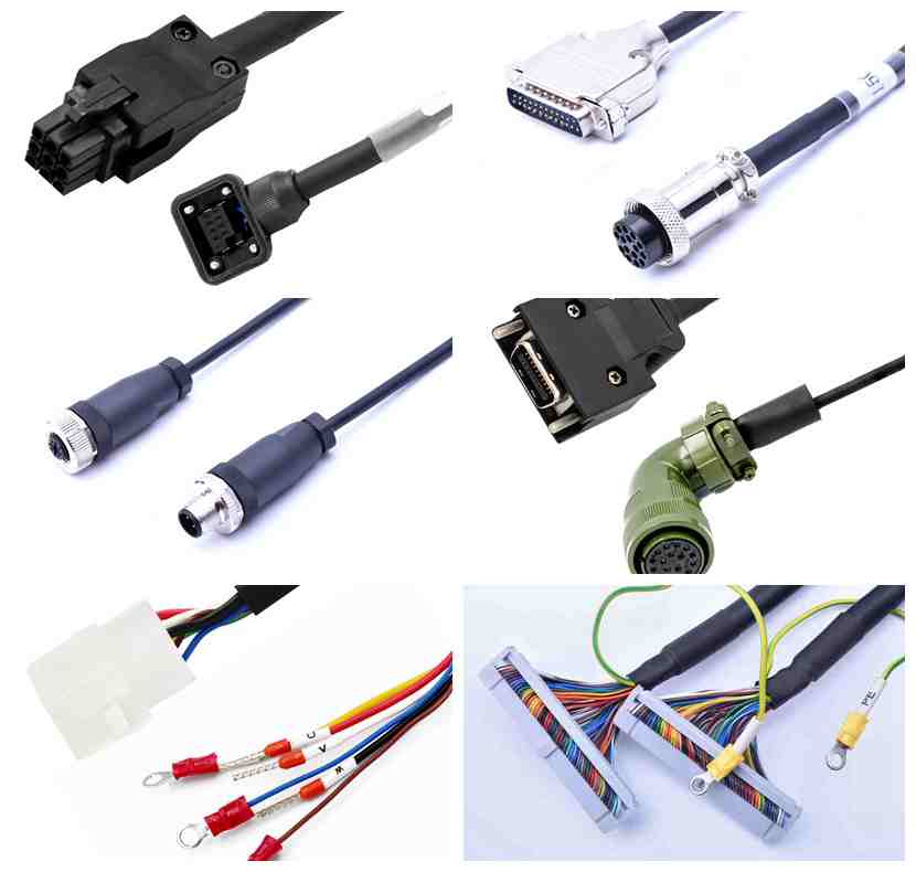 7萬多元的龍蝦被放生，蘇州華宸宇電子線束加工廠家為你解讀為了啥？